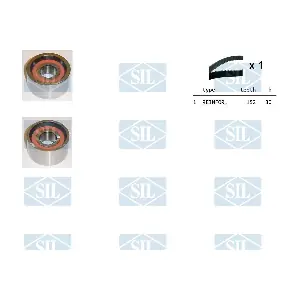 TK1023 Saleri SIL