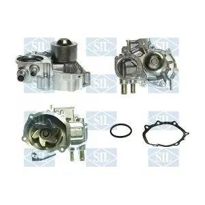 PA1207 Saleri SIL