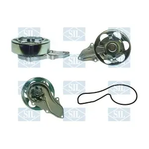 PA1381 Saleri SIL