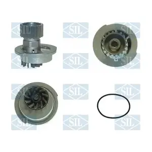 PA928 Saleri SIL