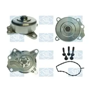 PA1371 Saleri SIL