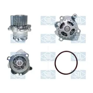 PA1355A Saleri SIL