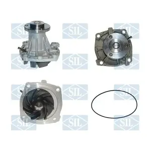 PA1117 Saleri SIL