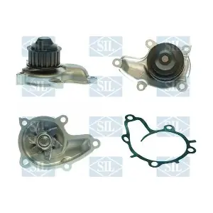 PA1096 Saleri SIL