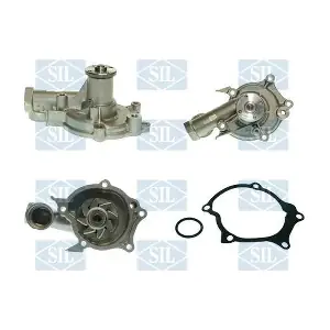 PA1089 Saleri SIL