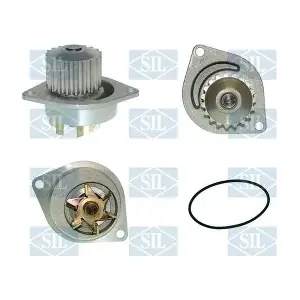 PA938 Saleri SIL
