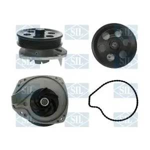 PA1616 Saleri SIL