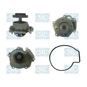 PA1554 Saleri SIL