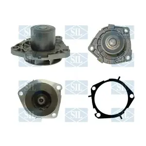 PA1246 Saleri SIL