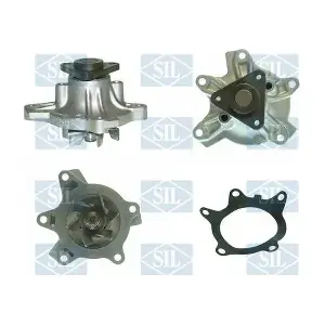 PA1161 Saleri SIL