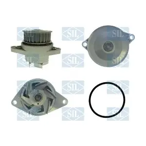 PA846A Saleri SIL