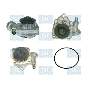 PA745 Saleri SIL