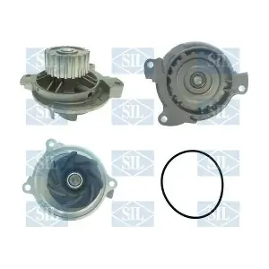 PA1002A Saleri SIL