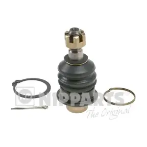 402952 OCAP