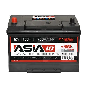 SB.ASIA10 PANTHER-BATTERIEN