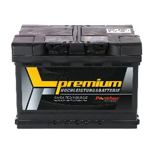 SB.5721933 PANTHER-BATTERIEN