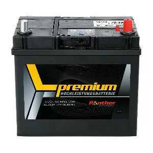SB.5458433n PANTHER-BATTERIEN