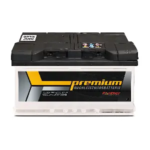 SB.5753900 PANTHER-BATTERIEN