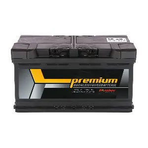 SB.5882733 PANTHER-BATTERIEN
