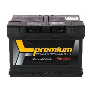 SB.5664133n PANTHER-BATTERIEN