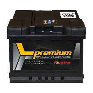 SB.5364633n PANTHER-BATTERIEN