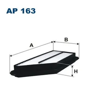 AP163 FILTRON