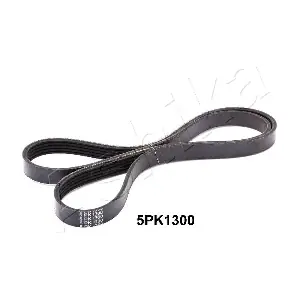 112-5PK1300 ASHIKA