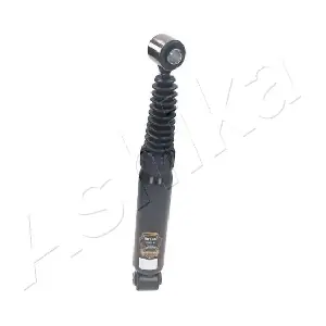 MA-00146 ASHIKA