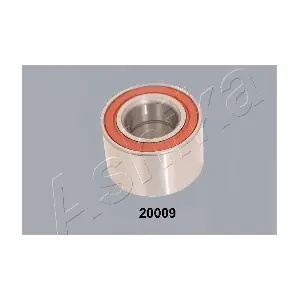 4420009 ASHIKA