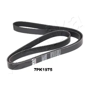 112-7PK1975 ASHIKA