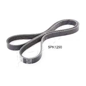 112-5PK1250 ASHIKA