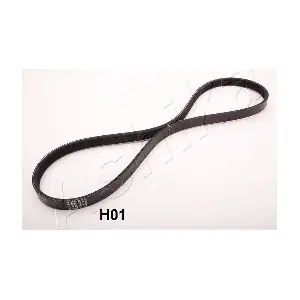 96-0H-H01 ASHIKA