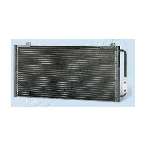 CND012001 ASHIKA