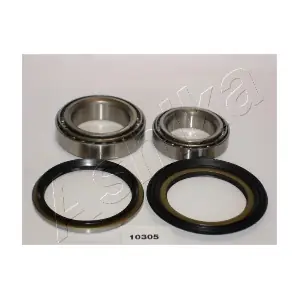 44-10305 ASHIKA