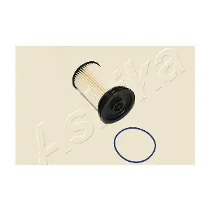 30ECO189 ASHIKA