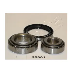 44-23001 ASHIKA