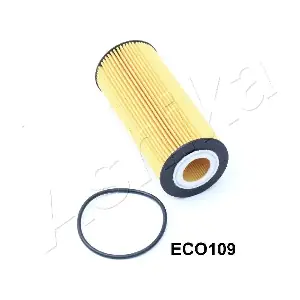 10-ECO109 ASHIKA