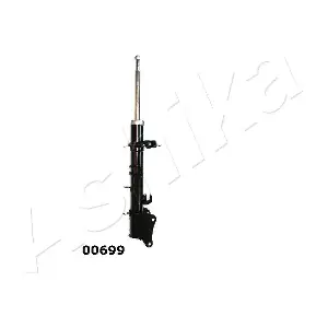 MA-00699 ASHIKA
