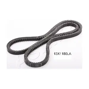 109-13X1180 ASHIKA