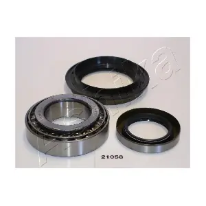 44-21058 ASHIKA