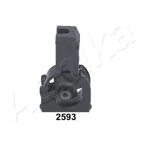 GOM-2593 ASHIKA