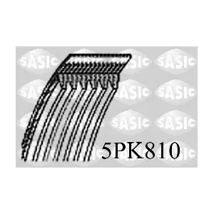 5PK810 SASIC