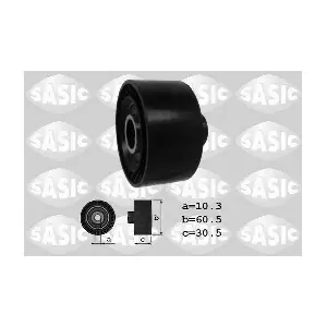 1620006 SASIC