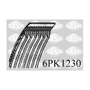 6PK1230 SASIC