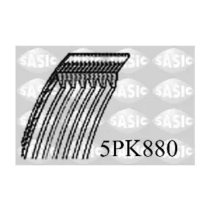 5PK880 SASIC