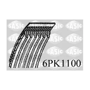 6PK1100 SASIC