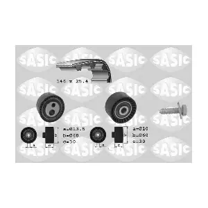 1750013 SASIC