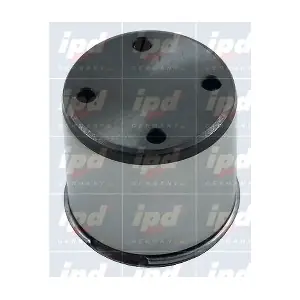 45-4319 IPD