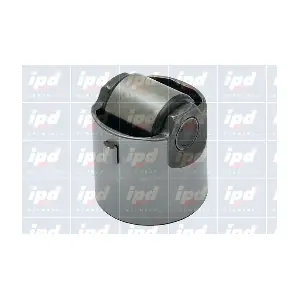 454318 IPD