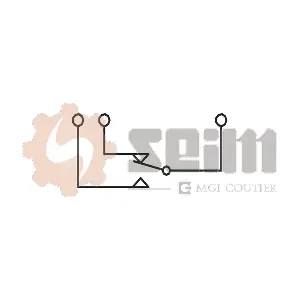 CS88 SEIM